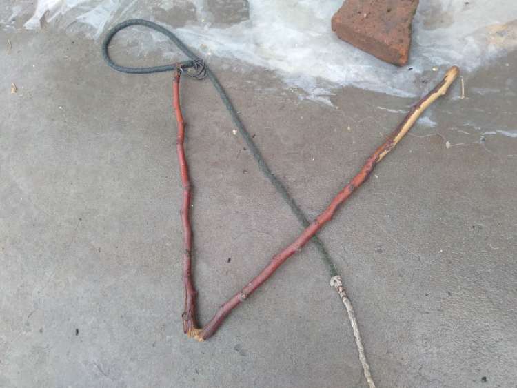 老汉|七旬老汉被醉酒村支书打进医院？因放羊起纠纷 老汉村书记各执一词