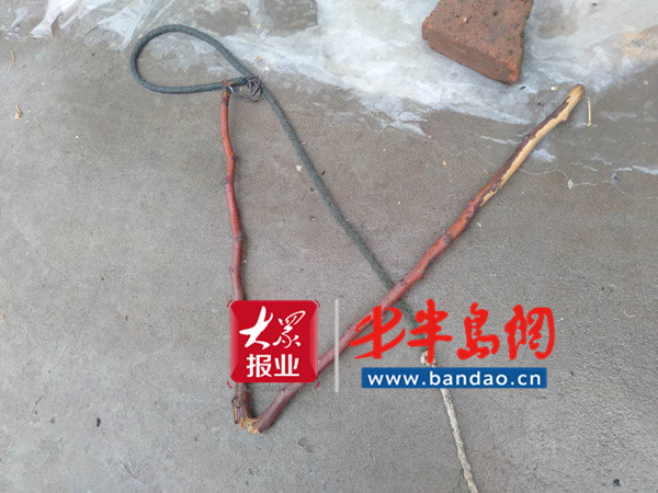 胶州|事发胶州：七旬老人放羊回家村内遭殴打！村书记称并未动手