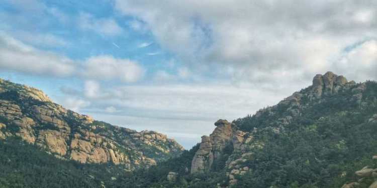 秋意|处暑过后 崂山巨峰秋意来