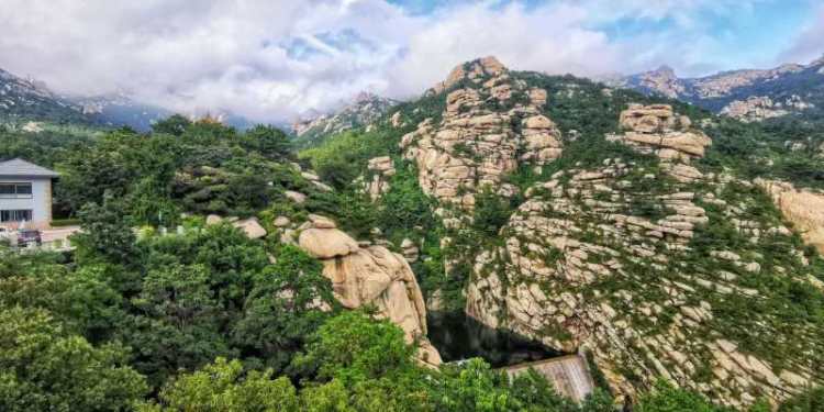 秋意|处暑过后 崂山巨峰秋意来