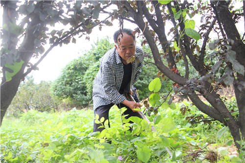 |社区“和事佬”，邻里热心肠，王哥庄街道唐家庄老党员唐明政把助人为乐当成自己的本分