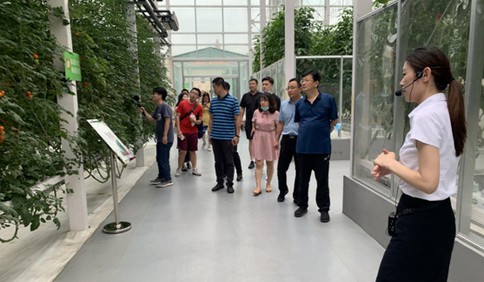 推動農(nóng)業(yè)高質(zhì)量發(fā)展 壽光率先實現(xiàn)蔬菜全產(chǎn)業(yè)鏈建設(shè)
