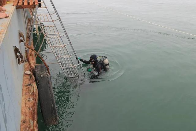 采风|胶东经济圈网络媒体联盟采风团打卡威海刘公岛