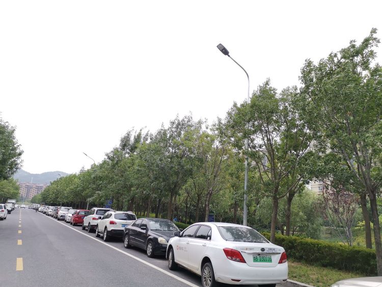 路灯|青岛市派李沧服务企业工作队贴心服务群众 助力毛公地社区安装路灯