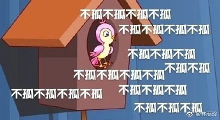 |不能生育遭老公家暴離婚？林志玲七夕曬照破謠言