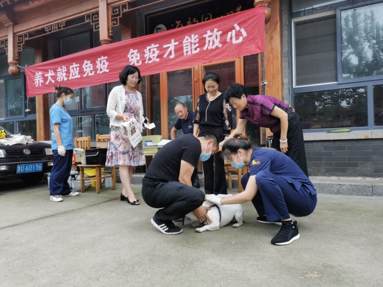 进社区|崂山区：犬只狂犬病免疫进社区 打造更加净化的人居环境