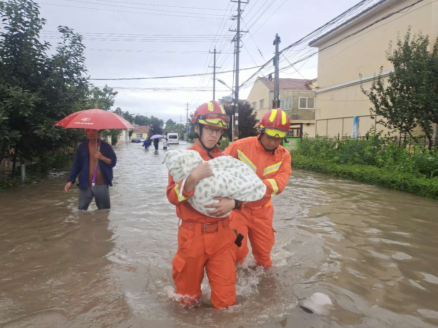 |台风“巴威”来袭，即墨各方力量抢险救灾守护家园