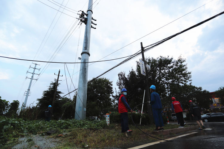 13|13条10千伏线路风雨中受损 即墨供电组建17支应急党员突击队重“织”电网