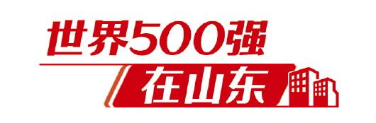 500|山东与世界500强连线！欧洲专场签约10个项目总投资7.97亿美元