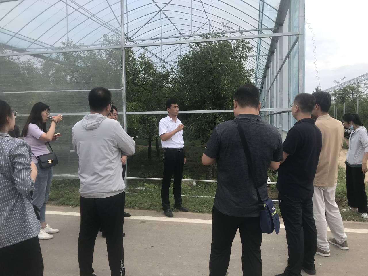 |枣树林中蓄水搭棚 乐陵为红枣产业振兴插上“智慧”翅膀 ?