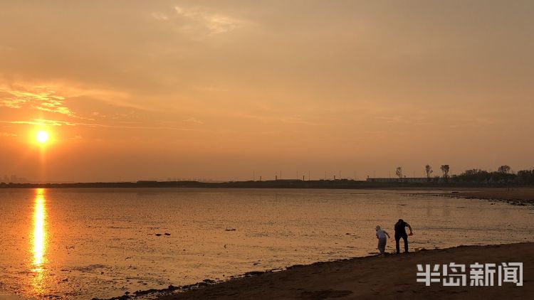 寻鲜|城阳星河湾小区附近海滩上市民余晖下寻鲜 尽享惬意时光