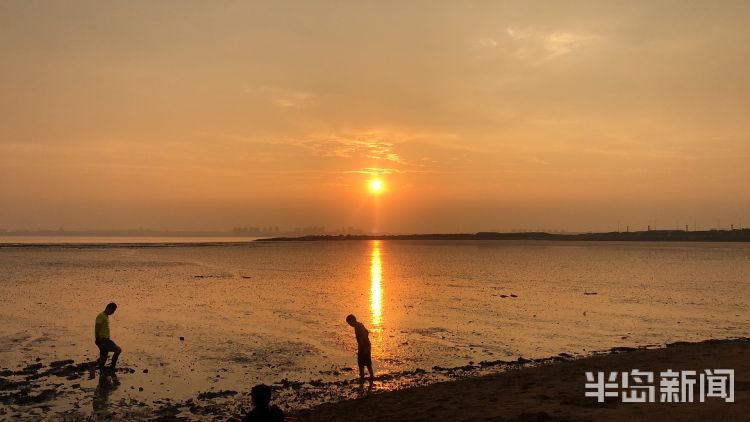 寻鲜|城阳星河湾小区附近海滩上市民余晖下寻鲜 尽享惬意时光