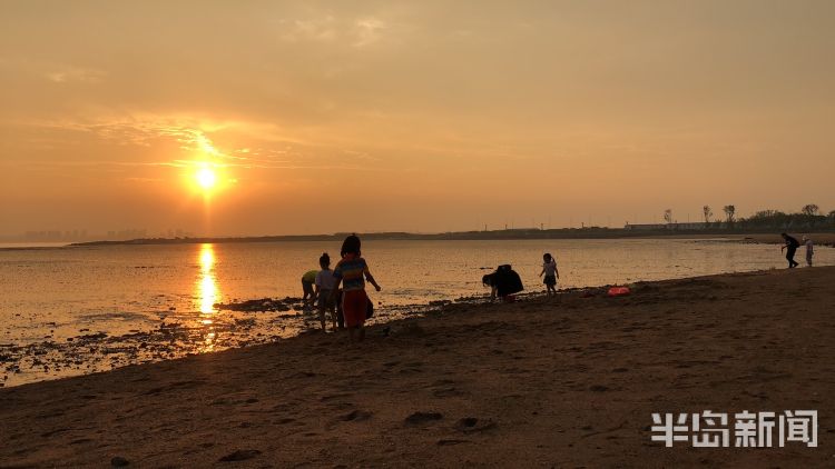 寻鲜|城阳星河湾小区附近海滩上市民余晖下寻鲜 尽享惬意时光