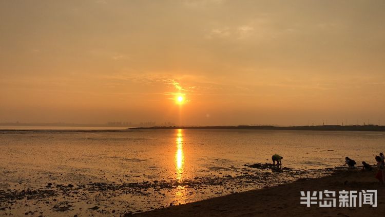 寻鲜|城阳星河湾小区附近海滩上市民余晖下寻鲜 尽享惬意时光