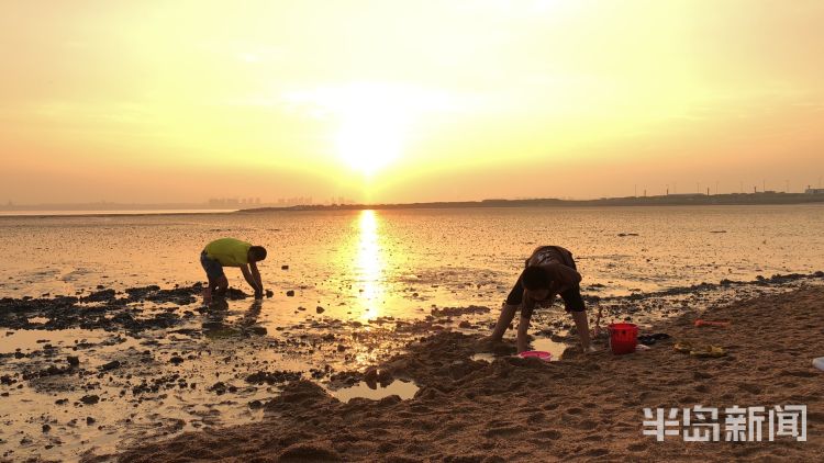 寻鲜|城阳星河湾小区附近海滩上市民余晖下寻鲜 尽享惬意时光