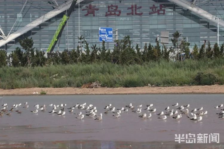 小编|未来3天阵雨捣乱世博园免费能否去转转？小编想的好事还有很多