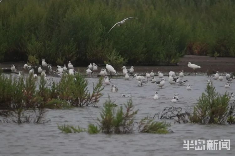 小编|未来3天阵雨捣乱世博园免费能否去转转？小编想的好事还有很多