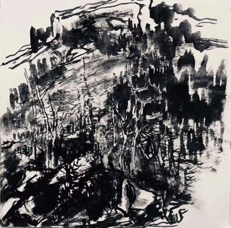 回澜阁|【回澜阁】水墨丹青中的如画江山——崔士文书画作品欣赏