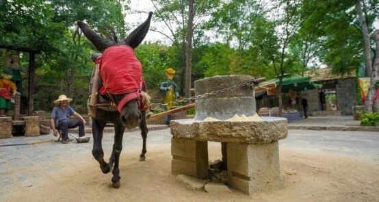 |兰陵压油沟：创造乡村旅游促进乡村振兴的经典模式