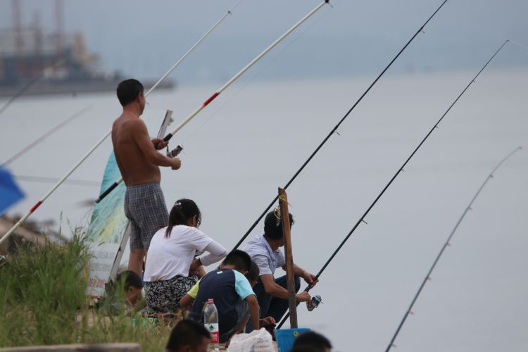 约会|市民周末约会青岛“后海” 赶海、钓鱼、遛娃、聚餐各得其乐