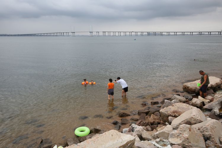 约会|市民周末约会青岛“后海” 赶海、钓鱼、遛娃、聚餐各得其乐