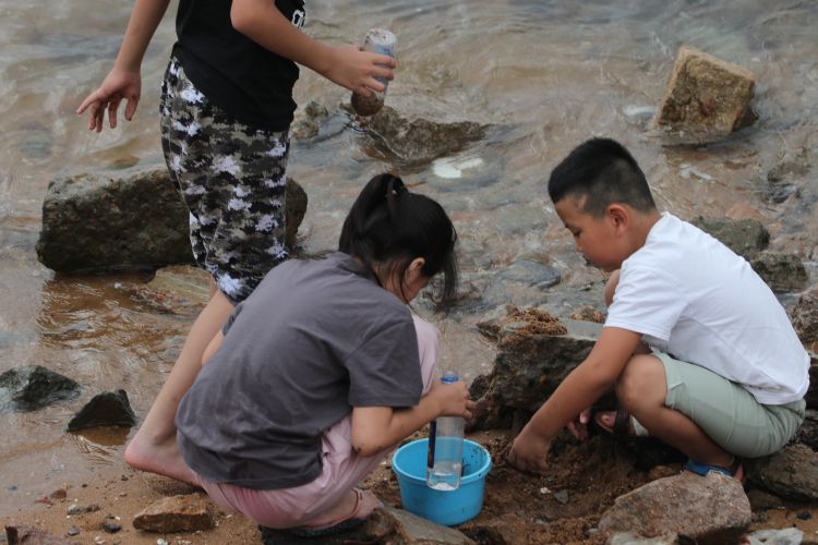 约会|市民周末约会青岛“后海” 赶海、钓鱼、遛娃、聚餐各得其乐