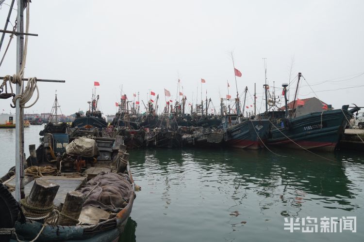 海富|开海寻鲜记：养海富海 青岛西海岸新区2000岁杨家洼渔港唱响新渔歌