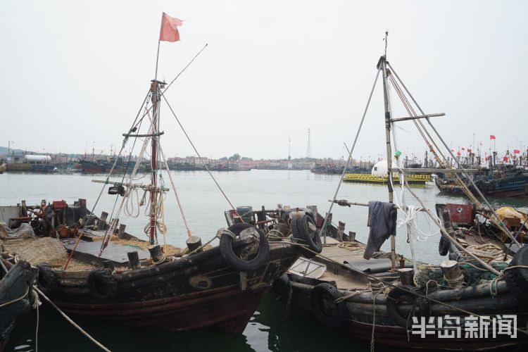 海富|开海寻鲜记：养海富海 青岛西海岸新区2000岁杨家洼渔港唱响新渔歌