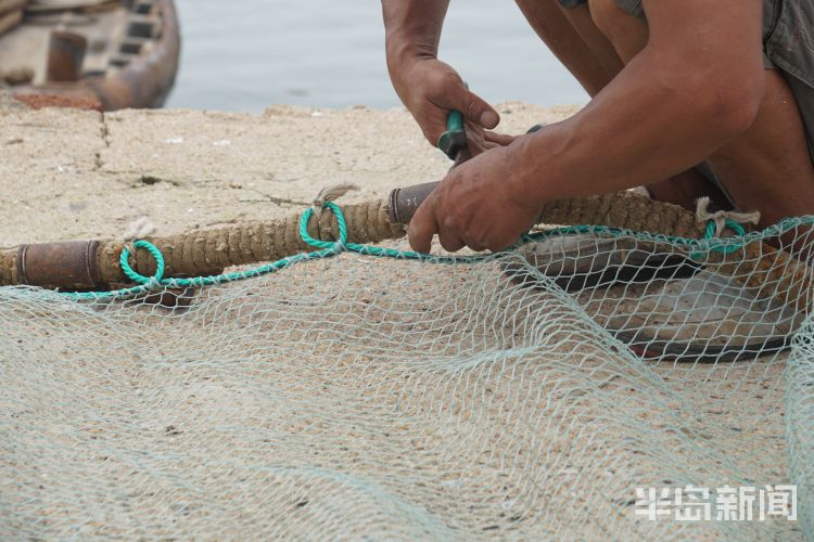 海富|开海寻鲜记：养海富海 青岛西海岸新区2000岁杨家洼渔港唱响新渔歌