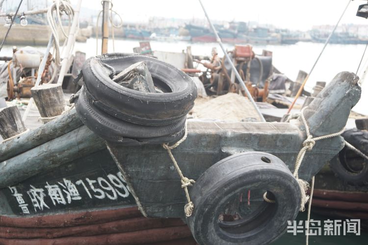 海富|开海寻鲜记：养海富海 青岛西海岸新区2000岁杨家洼渔港唱响新渔歌