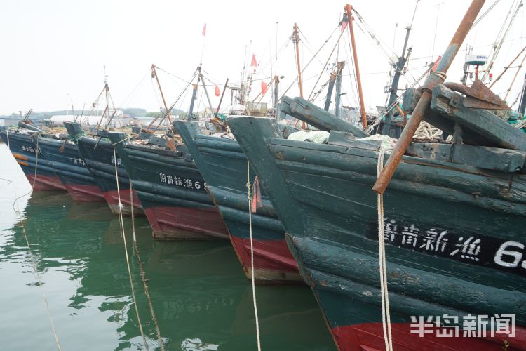 海富|开海寻鲜记：养海富海 青岛西海岸新区2000岁杨家洼渔港唱响新渔歌