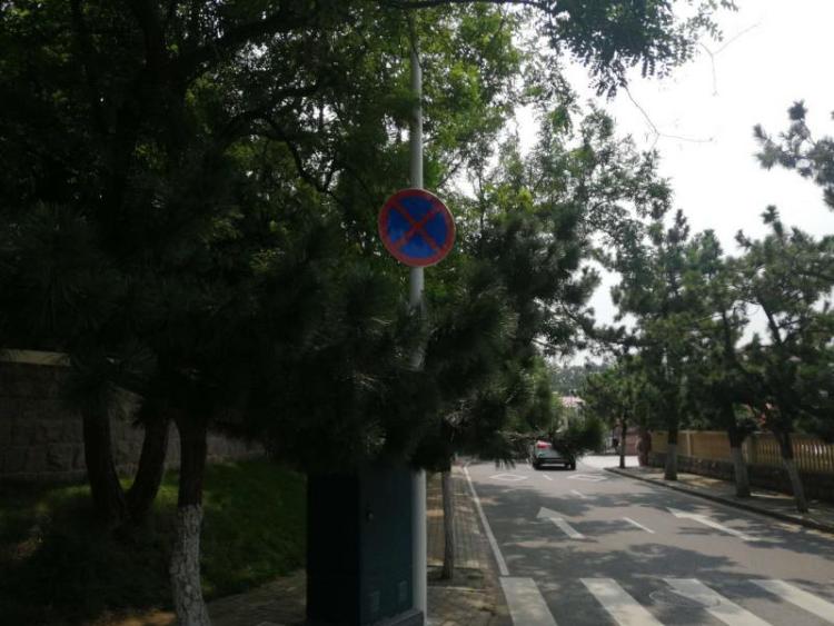 交通标志|市南交警：排查隐患路段 增设交通标志请看仔细