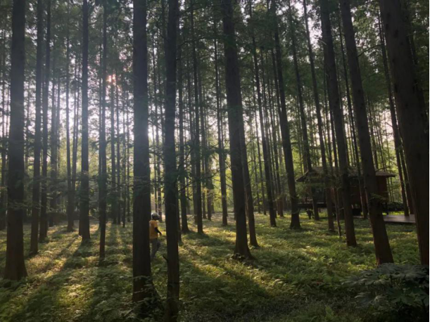 |2020东台文旅推介会9月4日在青岛奥帆中心举行