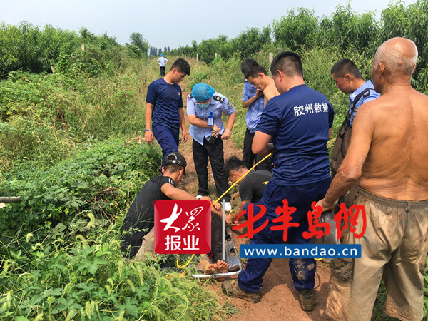 胶州|胶州老人收花生落入水塘三人营救又被困，危急时刻伸援手全部获救