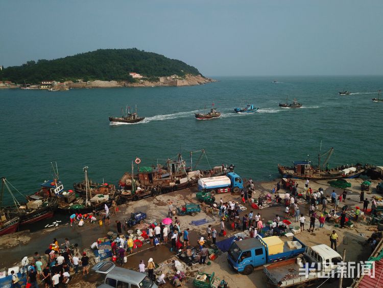 开海|沙子口南姜码头：开海首日 新“鲜”上岸