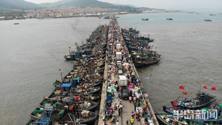 海货|即墨区田横岛：300余艘渔船陆续回岸 吸引大批市民前来挑选