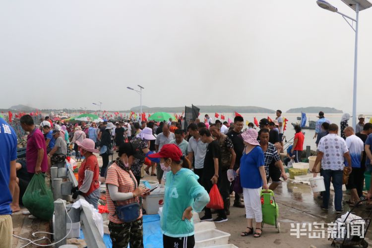 海货|即墨区田横岛：300余艘渔船陆续回岸 吸引大批市民前来挑选