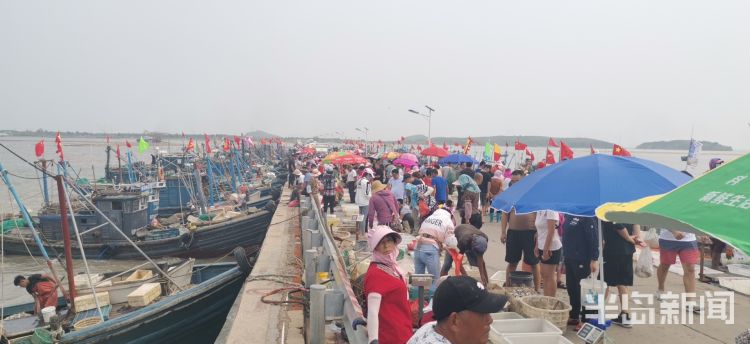 海货|即墨区田横岛：300余艘渔船陆续回岸 吸引大批市民前来挑选