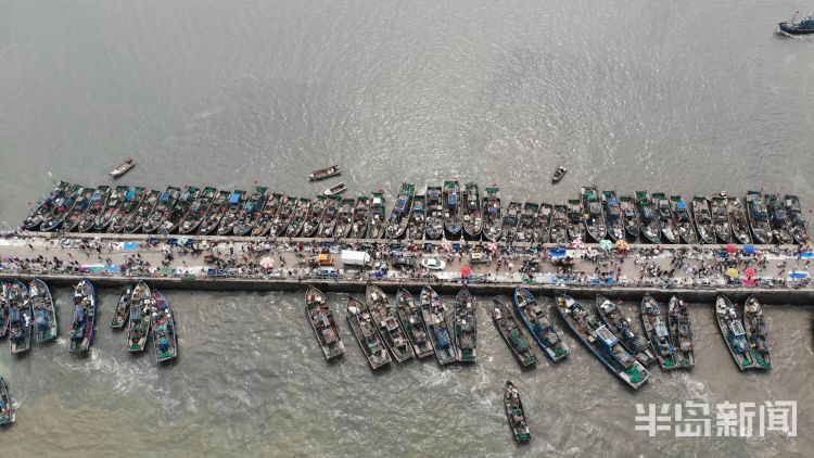 海货|即墨区田横岛：300余艘渔船陆续回岸 吸引大批市民前来挑选