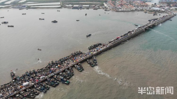 海货|即墨区田横岛：300余艘渔船陆续回岸 吸引大批市民前来挑选