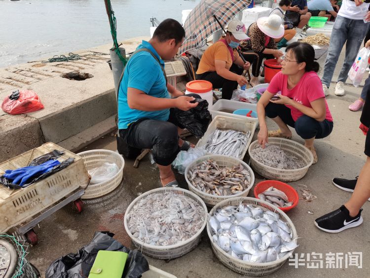 海货|即墨区田横岛：300余艘渔船陆续回岸 吸引大批市民前来挑选