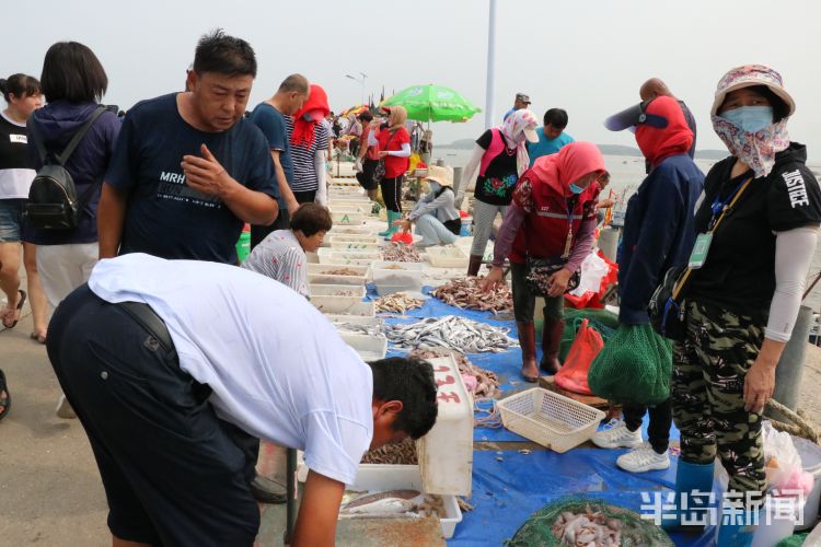 海货|即墨区田横岛：300余艘渔船陆续回岸 吸引大批市民前来挑选