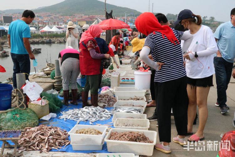 海货|即墨区田横岛：300余艘渔船陆续回岸 吸引大批市民前来挑选