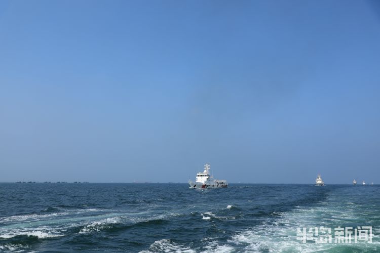 开海|开海首日 青岛日照“两地五方”联合行动护航商渔船