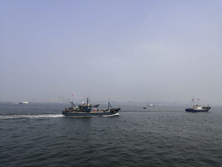 休渔|黄渤海海域加长版休渔期坚持近四年 “海上粮仓”喜迎丰收