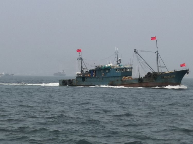 休渔|黄渤海海域加长版休渔期坚持近四年 “海上粮仓”喜迎丰收