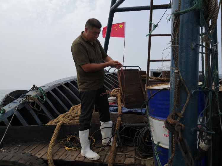 休渔|黄渤海海域加长版休渔期坚持近四年 “海上粮仓”喜迎丰收