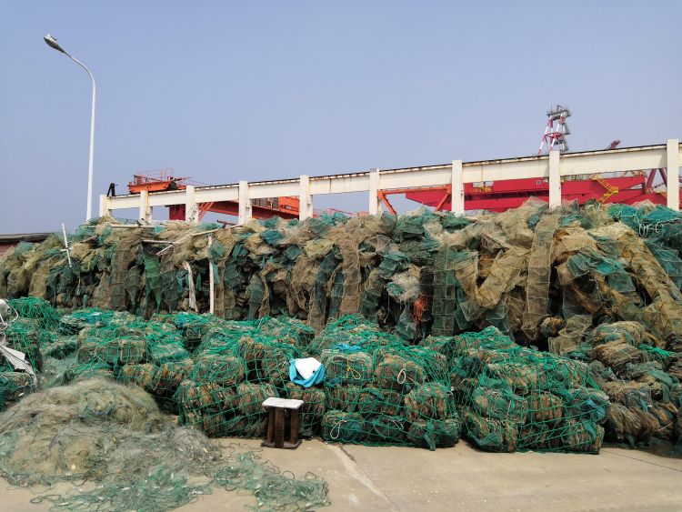 休渔|黄渤海海域加长版休渔期坚持近四年 “海上粮仓”喜迎丰收