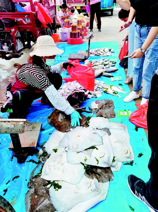 |开海当天青岛3000多艘渔船出海开捕 大量市民拥入码头开抢第一鲜