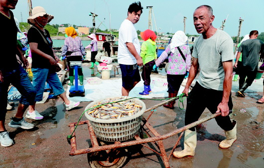 |开海当天青岛3000多艘渔船出海开捕 大量市民拥入码头开抢第一鲜